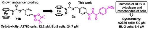 Hydrogen Peroxide‐Responsive Aminoferrocene Prodrugs