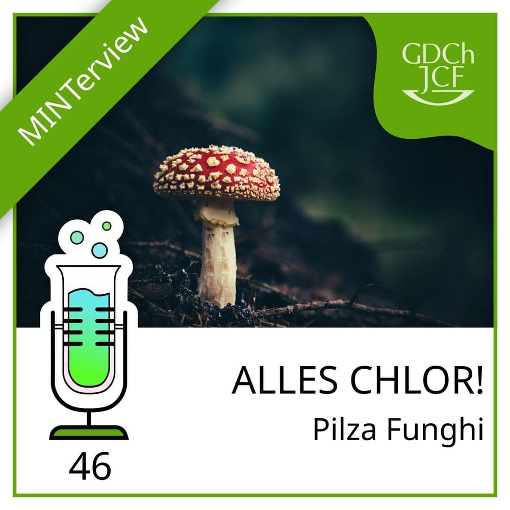„Alles Chlor!“: Pilza Funghi