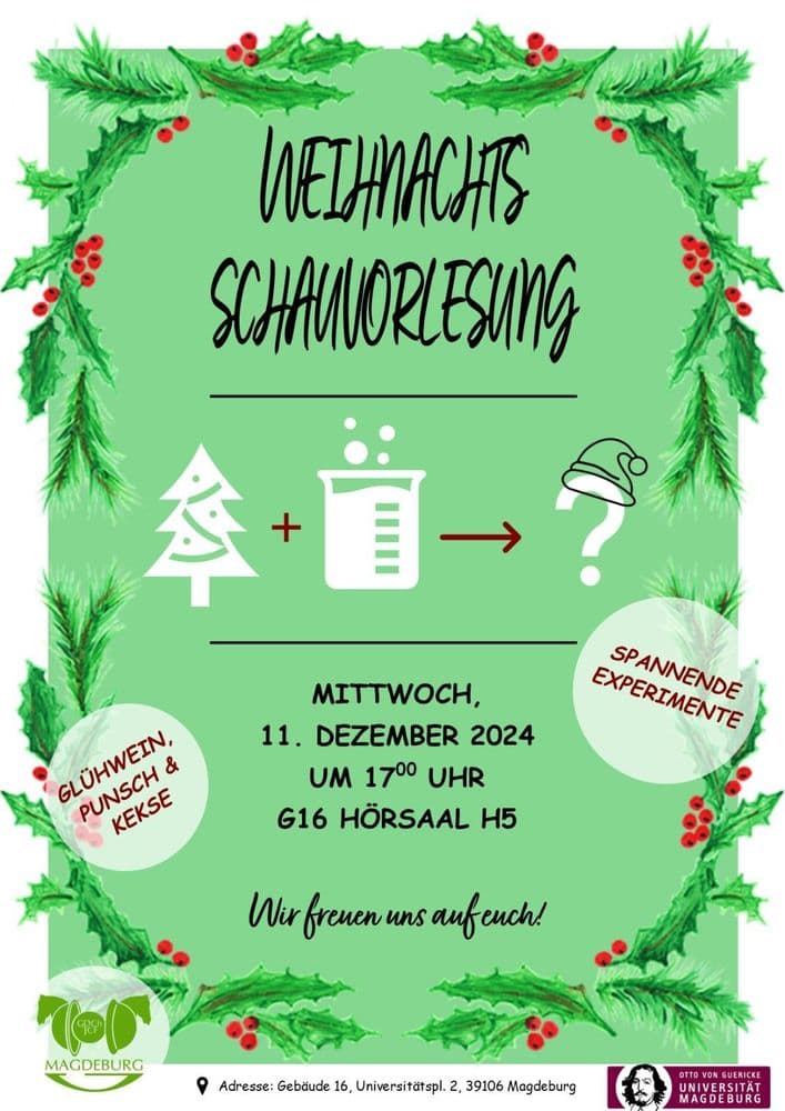 Weihnachtsschauvorlesung an der Otto-von-Guericke-Universität