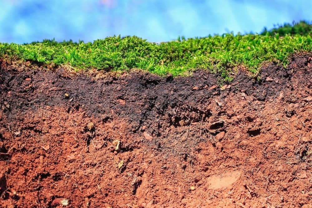 Nachhaltige Polymere gegen den Klimawandel: Künstliche Huminstoffe