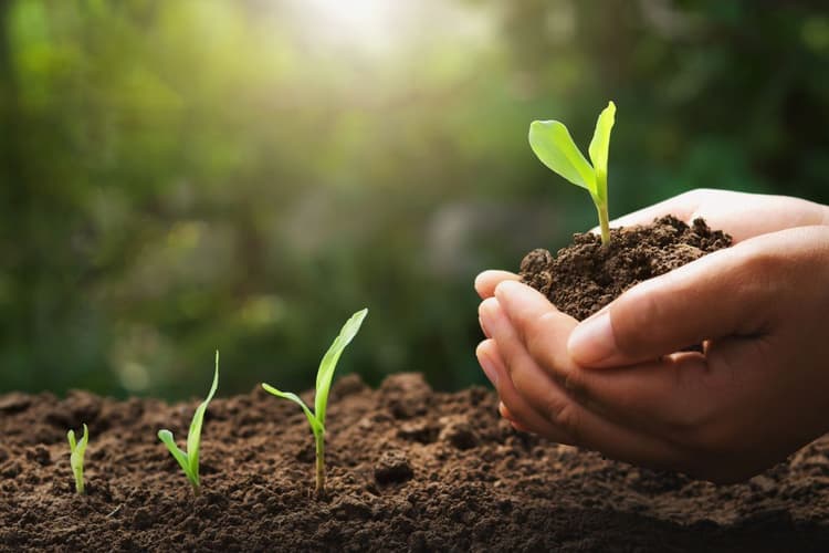 Sustainability