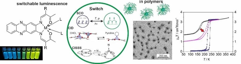 Switchable Molecules in Polymers and Anion Matrixes