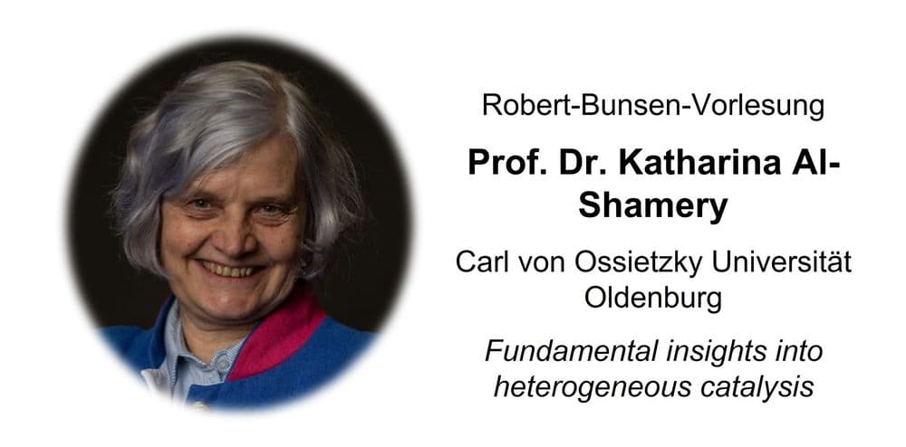 Robert-Bunsen-Vorlesung: Fundamental insights into heterogeneous catalysis