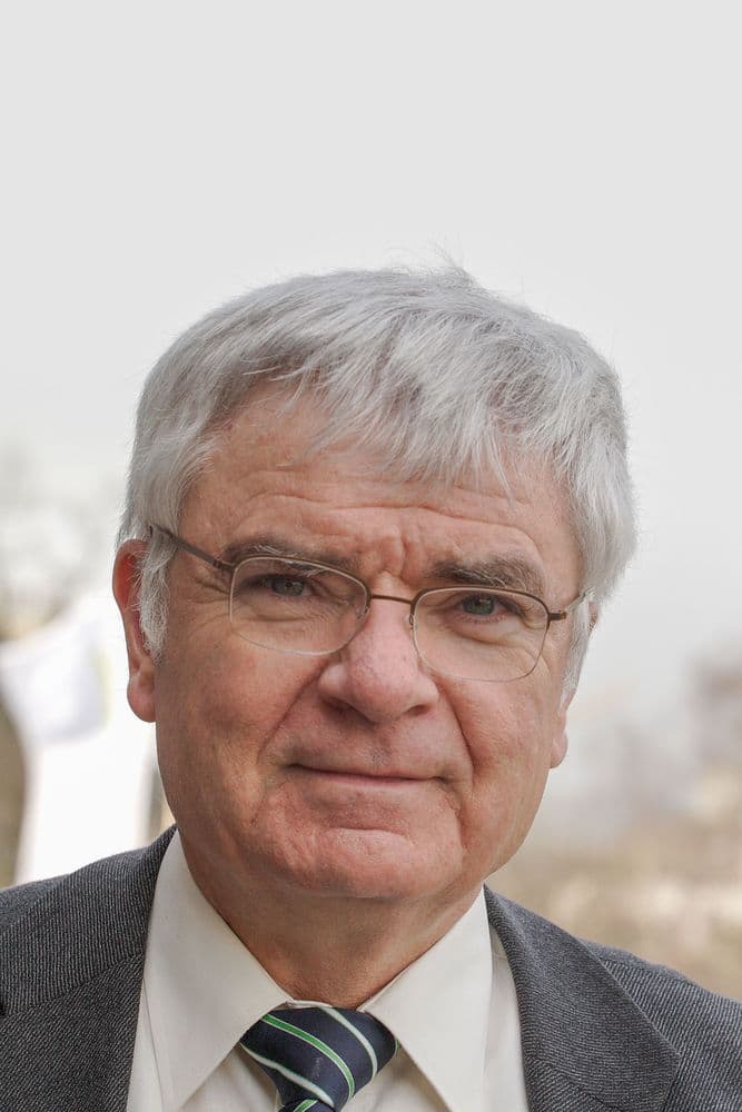 Jörn Manz