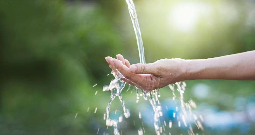 Auf Spurensuche: Non-Target-Screening in der Wasseranalytik