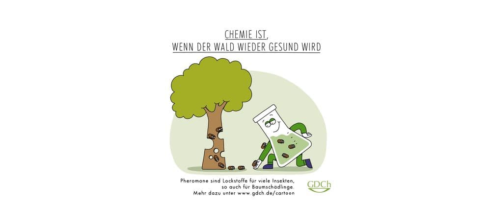 Pheromone - und der Wald wird wieder gesund