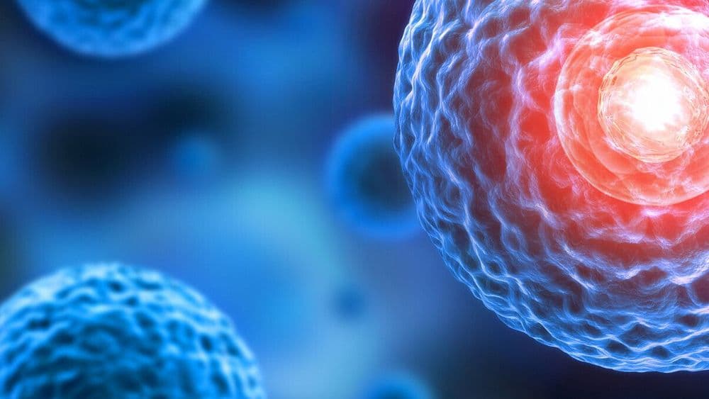 Zu Risiken und Nebenwirkungen ... - Pharmakokinetik und Pharmakodynamik