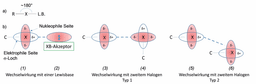 Die Haager Ethik‐Leitlinien