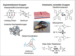 GDCh‐Mitgliedsbeitrag