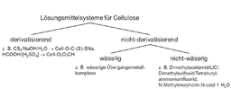 „Durchaus ein Alleinstellungsmerkmal“