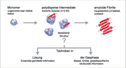 GDCh‐Mitgliedsbeitrag