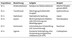 Doppelspitze im Ortsverband Mainz‐Wiesbaden