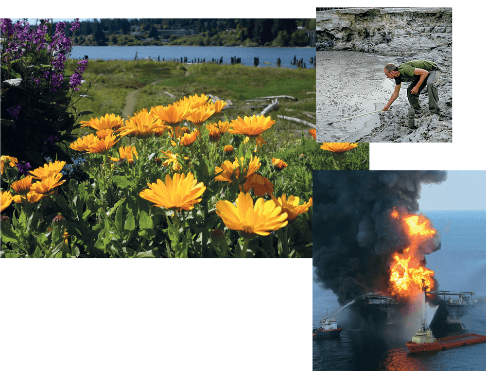 Lanthanoide – biologisch wichtig