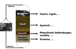 GDCh‐Gehaltsumfrage