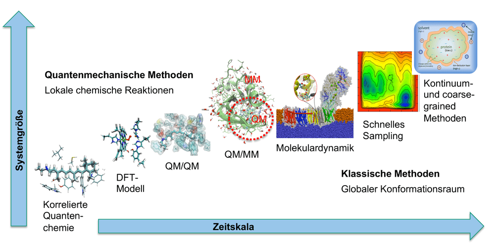 Trendbericht Theoretische Chemie: Molekulare Mechanismen der biologischen Energieumwandlung