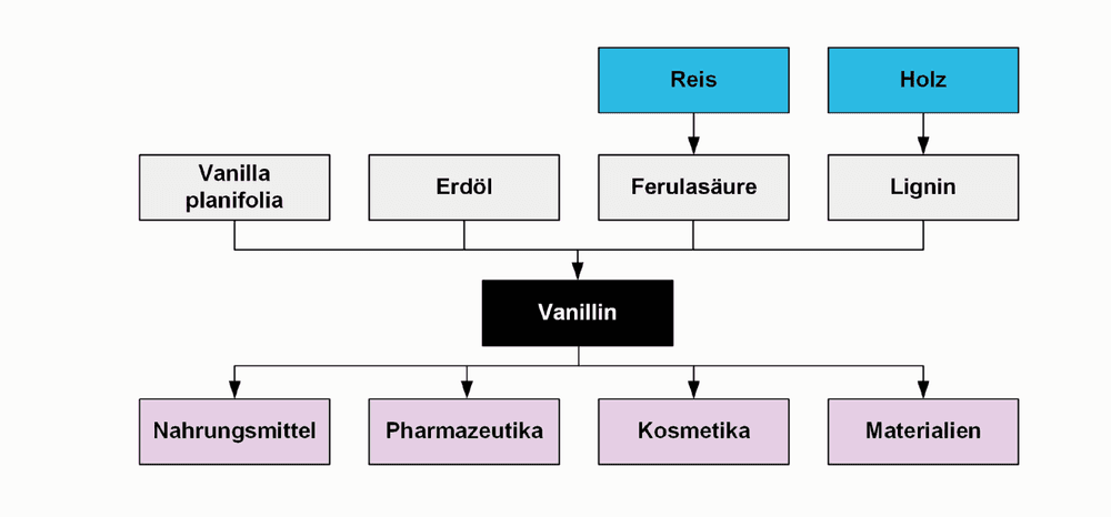 Prozesstechnik: Ein potenzieller Polymerbaustein