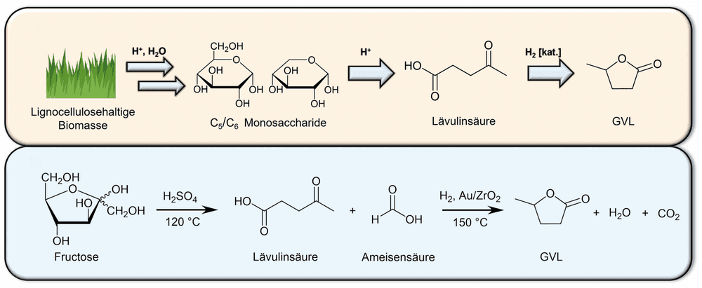 Mit Gamma‐Valerolacton lösen