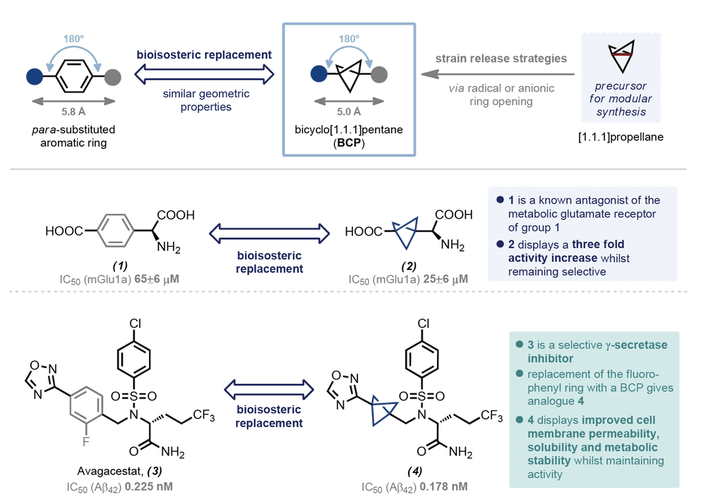 Bioisosteres of meta‐substituted benzenes