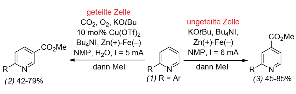 Pyridin elektrochemisch carboxyliert