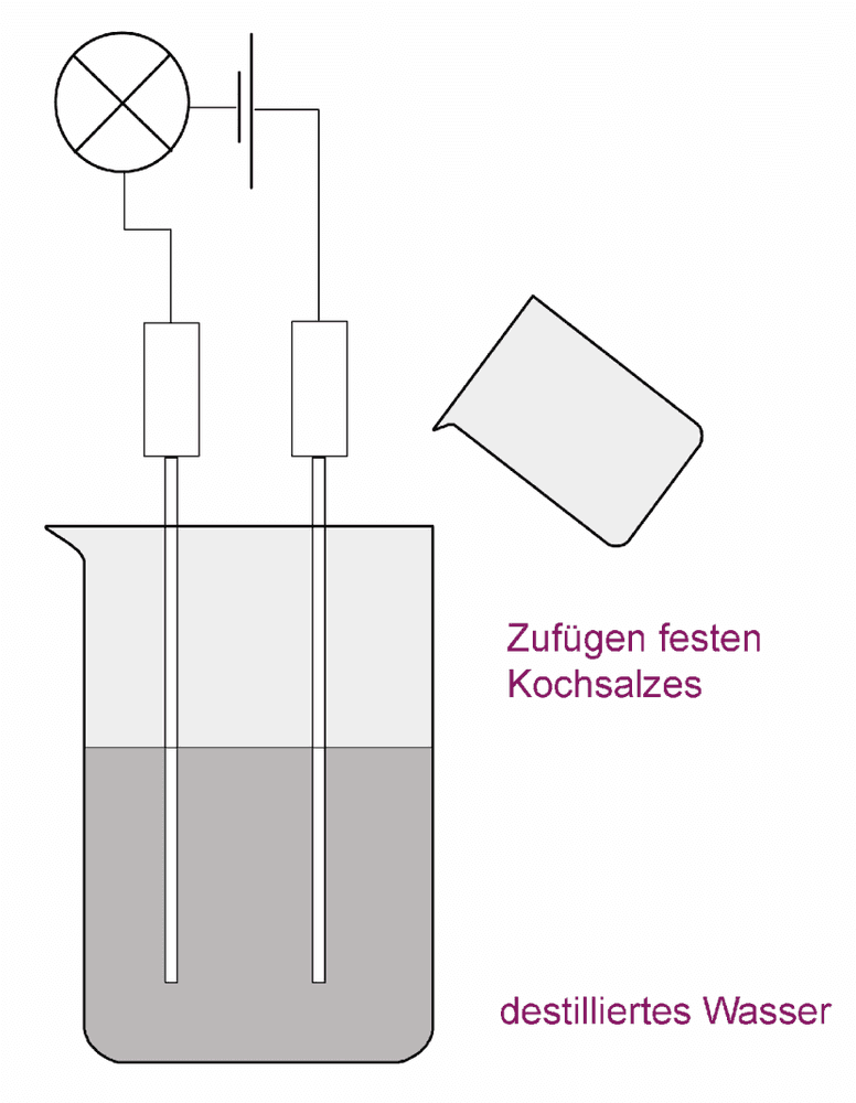 Vom Hammerhai zur quantitativen Analytik