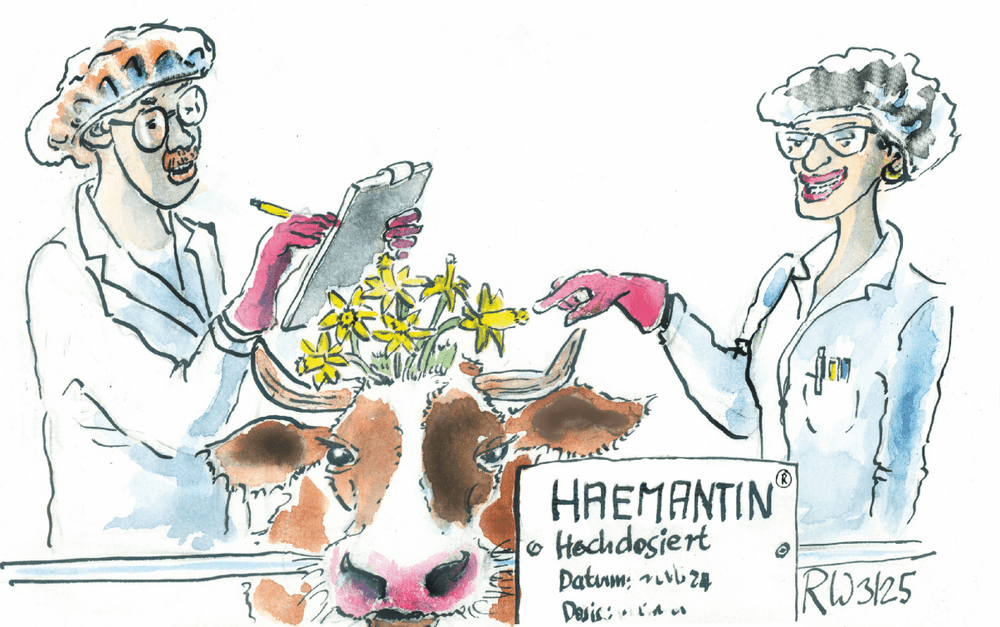 Osterglocken fürs Klima