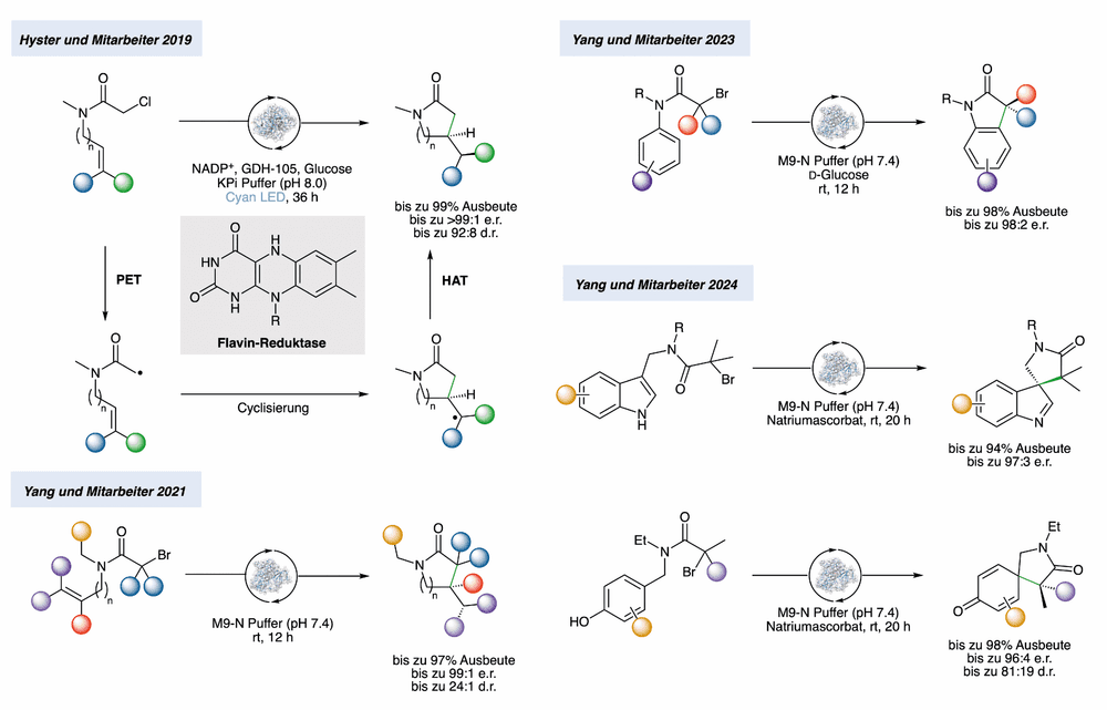 Enzyme zähmen Radikale