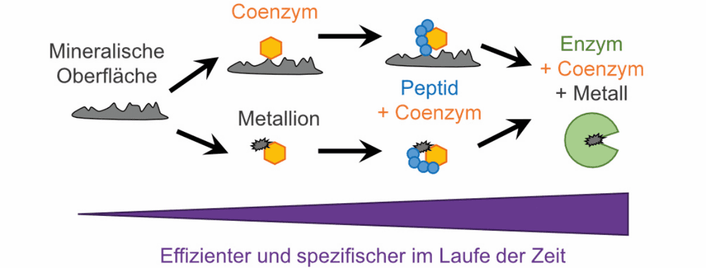 Präbiotische Chemie – vom Stoffwechsel aus gedacht/Trendbericht Biochemie 2026 3/4