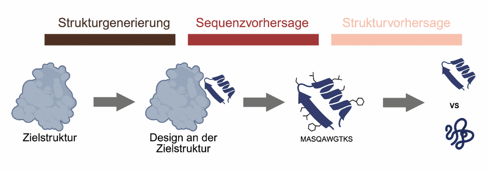 KI‐gestütztes Proteindesign in der molekularen Pharmakologie/Trendbericht Biochemie 2026 2/4