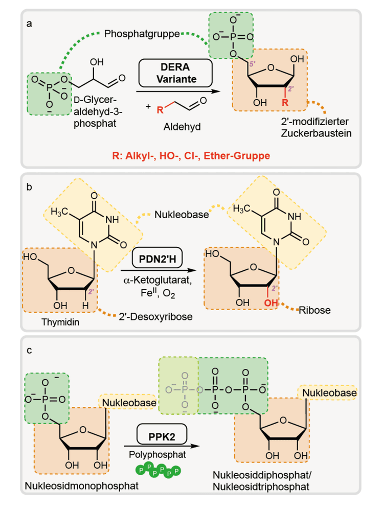 Trendbericht Organische Chemie 2026