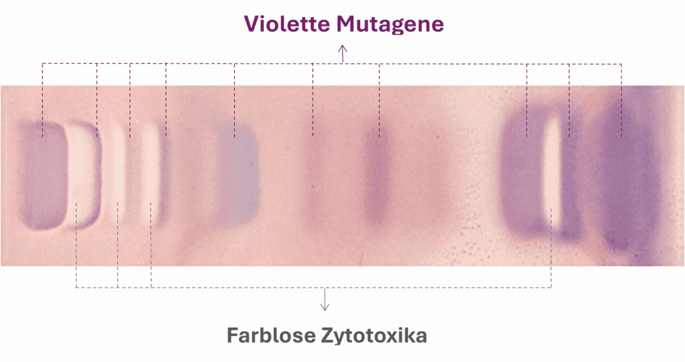 Unbekannte Mutagene finden und entschlüsseln
