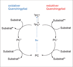GDCh‐Mitgliedsbeitrag