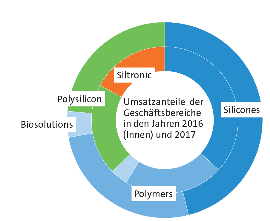 Bilanz 2017: Alles fürs Silikon