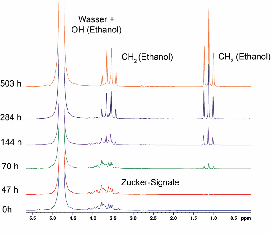 NMR‐Spektroskopie in der Lehramtsausbildung