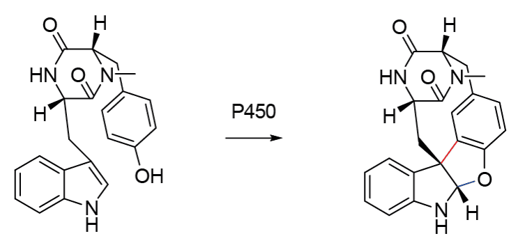 Biosynthese eines Indolalkaloids