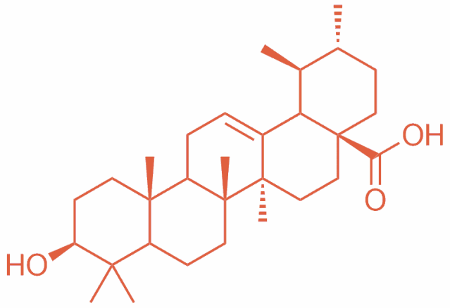 Triterpenoide für gesundes Altern