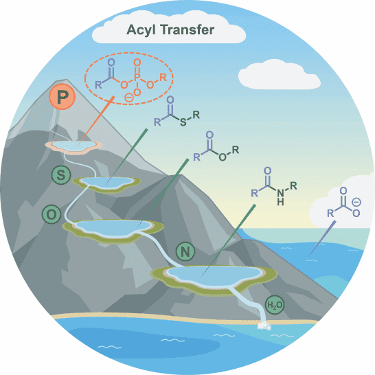 Why Nature Chose Acyl Phosphates