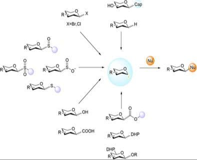 Progress on Glycosidation via Radical Strategy