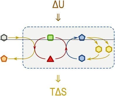 Steady Out‐of‐Equilibrium Chemistry: What? Why? How?