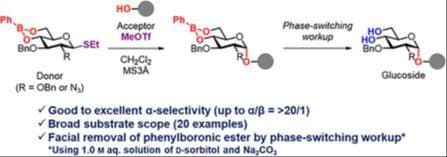 4,6‐O‐Phenylboronic Ester Protection for 1,2‐cis‐α‐Selective Glucosylation