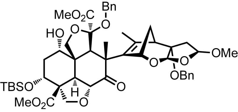 Die 71‐Schritt‐Anleitung zum Blattläusetöten