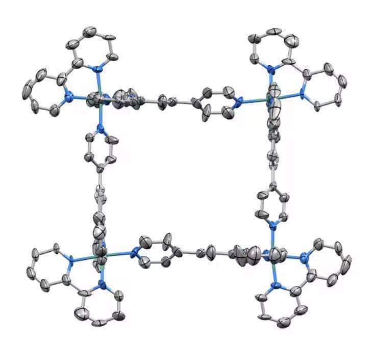 Thermal- and Photo- Assembly of Discrete Metallocycles as Light-Harvesting Complexes