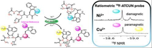 A 19F‐ATCUN Peptide NMR Probe for Selective Cu2+ or Ni2+ Sensing in Complex Biological Media