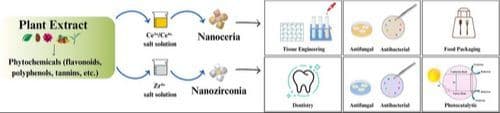 A Decade of Transition from Chemical to Green Synthesis of Nanoceria and Nanozirconia: Exploring Their Biomedical Potential