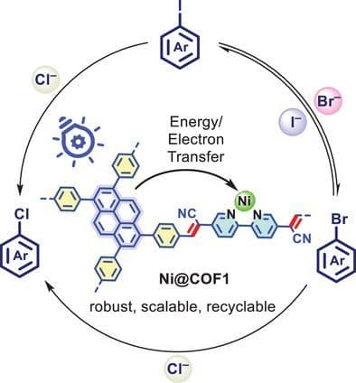 A Robust Nickel‐Interlocked π‐Conjugated Covalent Organic Framework Catalyst for Photocatalytic Aromatic Finkelstein and Retro‐Finkelstein Reactions