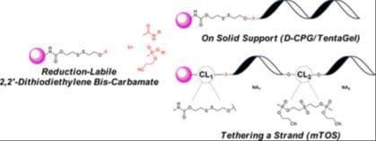 A Versatile Disulfide‐Containing Solid‐Support Strategy for 3′‐Modifiers in Oligonucleotides: Introducing Modular Tandem Oligonucleotide Synthesis