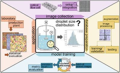 AI‐ and Image‐Based Analysis of Emulsification Processes: Opportunities and Challenges