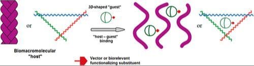 Alternative Approach to Avoid Drug Resistance: Polyhedral Inorganic and Metallomacrobicyclic 3D‐Shaped Guests Strongly Binding to Allosteric Sites and/or Macromolecular Interfaces