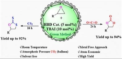 Amino Acid Derived Hydrogen Bond Donor (HBD) Catalyst for the Synthesis of Cyclic Carbonates and Cyclic Dithiocarbonates: Experimental and Computational Studies