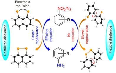 An Unusual Activity of Conformationally Restricted Naphthalene Peri‐Dichalcogenides in the Reduction of Nitro and Azide Groups
