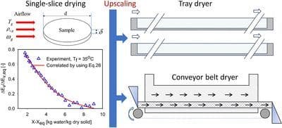 An Upscaling Method in Drying System Design: From Single Sample Kinetic to Dryer Models